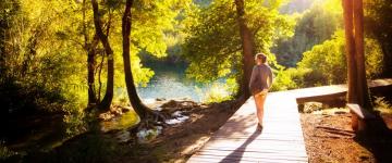 Photo of a woman walking along a raised path through a sunlit forest with a lake in the distance
